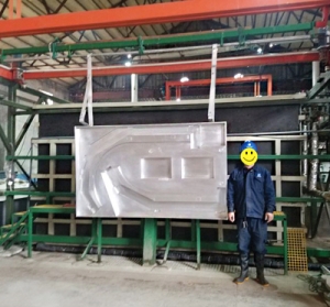 大型模具荔枝视频下载